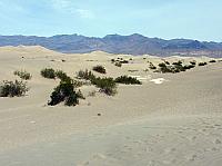 vallée de la mort  (164).JPG